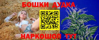 каннабис Новодвинск