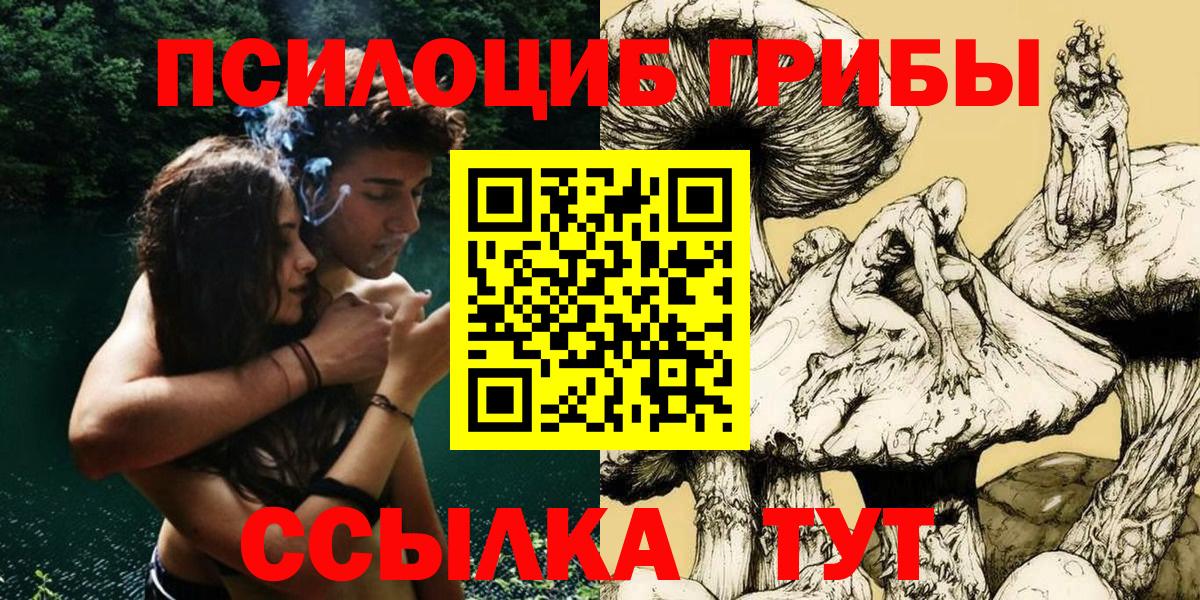 Галлюциногенные грибы ЛСД  Вход с VPN  Тосно  Галлюциногенные грибы GOLDEN TEACHER 